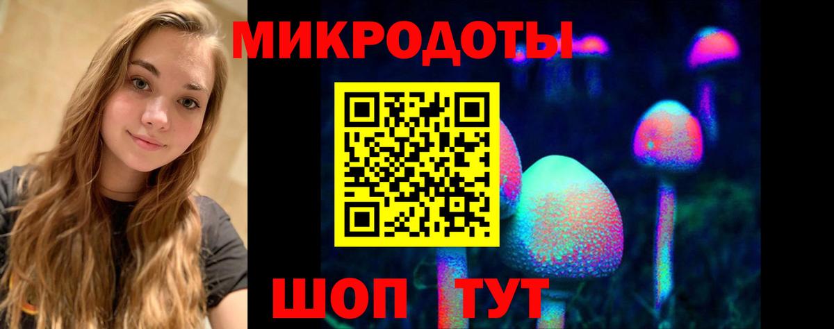 Псилоцибиновые грибы GOLDEN TEACHER  Вход с VPN  Псилоцибиновые грибы мицелий  Изобильный 